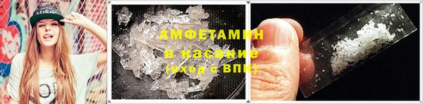 крисы Аркадак