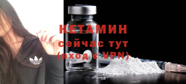 крисы Аркадак