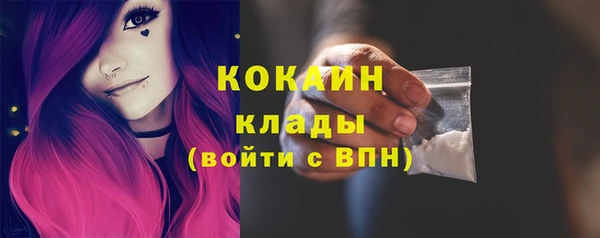 крисы Аркадак
