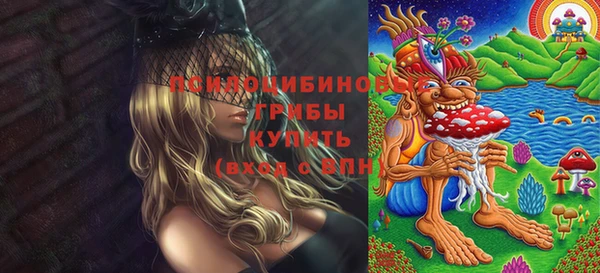 крисы Аркадак