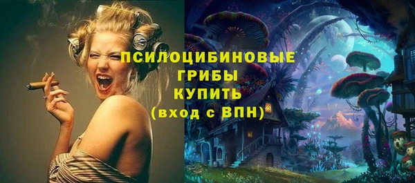 СК Туринск
