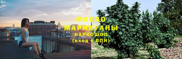 крисы Аркадак