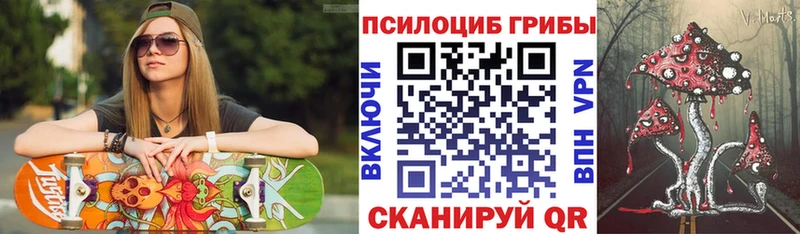 Купить  Белозерск  Псилоцибиновые грибы Cubensis 